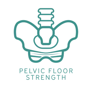 Pelvic Floor Strength Therapy Icon